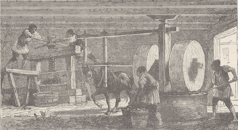 GREECE. Oil Mill in Greece 1894 old antique vintage print picture